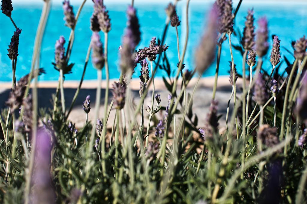 Verina Terra Platis Gialos  Exterior foto